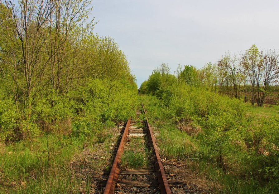 vuzkokol avto0