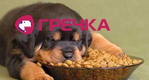 real 614febde 2d40 49be 8bda 0c6905a92904