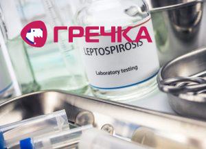 leptospiroz lab