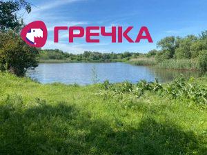 Stavok