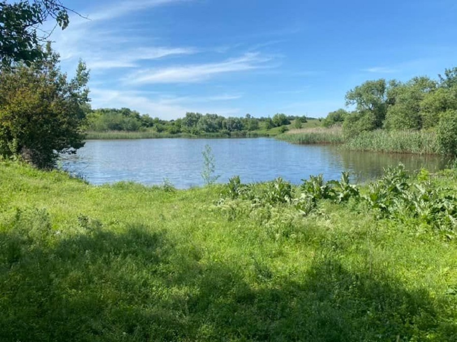 Stavok