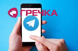 Telegram mobilniy