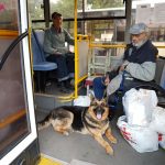 Arkadiy Snitkin avtobus