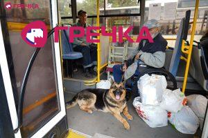 Arkadiy Snitkin avtobus