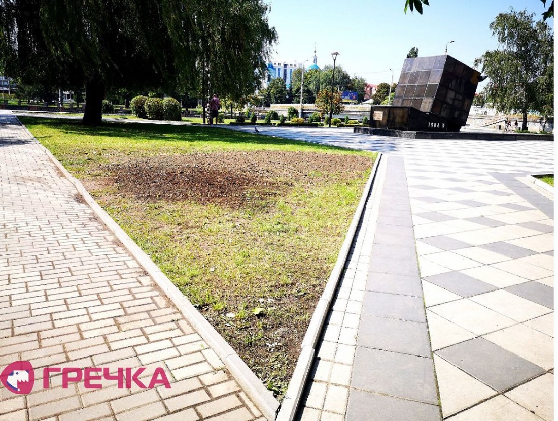 Spulyana verba u skveri Chornobyl