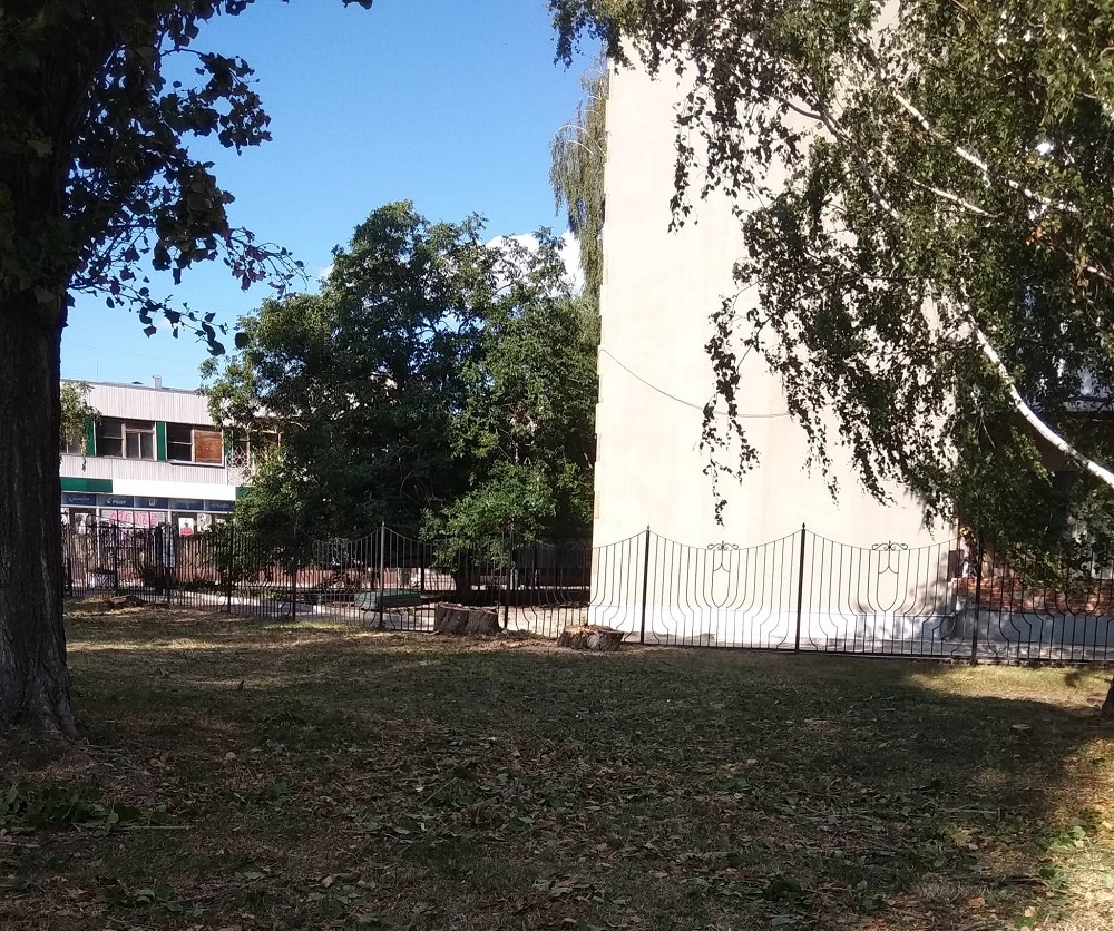 Spulyani verbb u skveri Chornobyl