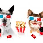 peregliad filmu