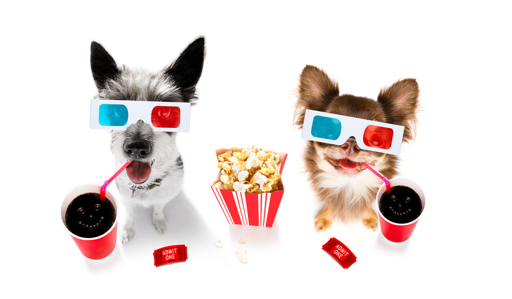 peregliad filmu