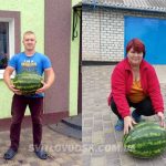 1664889036 buzeinikovy