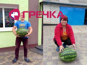 1664889036 buzeinikovy