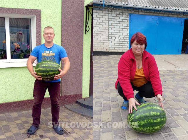 1664889036 buzeinikovy