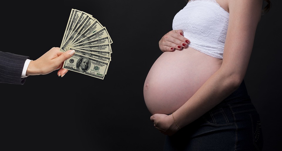 Fertility Surrogate Mother Adoption Surrogacy 5014314