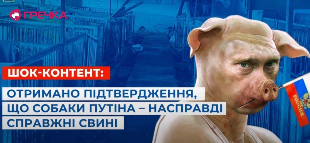 Skrin SBU svuni