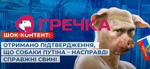 Skrin SBU svuni