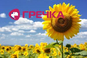 sonyashnuk