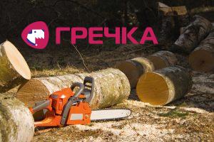 вирубка дерев