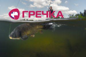 rybak