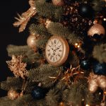 IMG 1399 2 copy