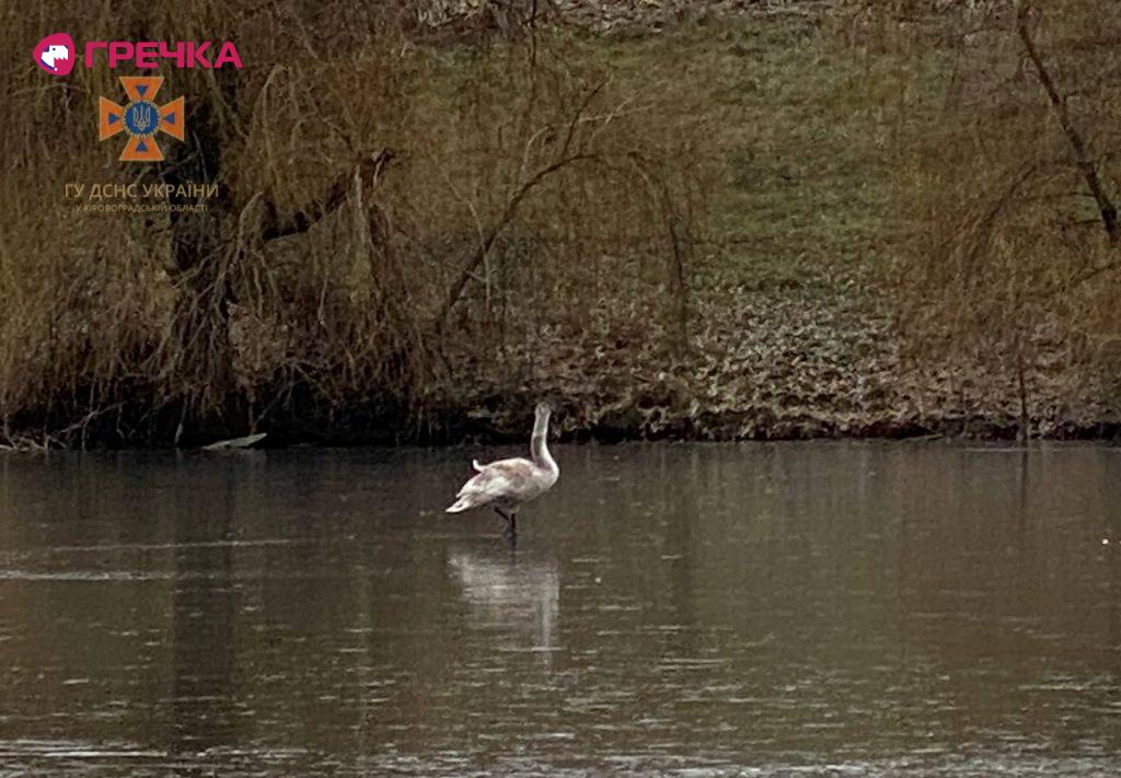 photo 2022 12 02 15 35 16