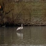 photo 2022 12 02 15 35 16
