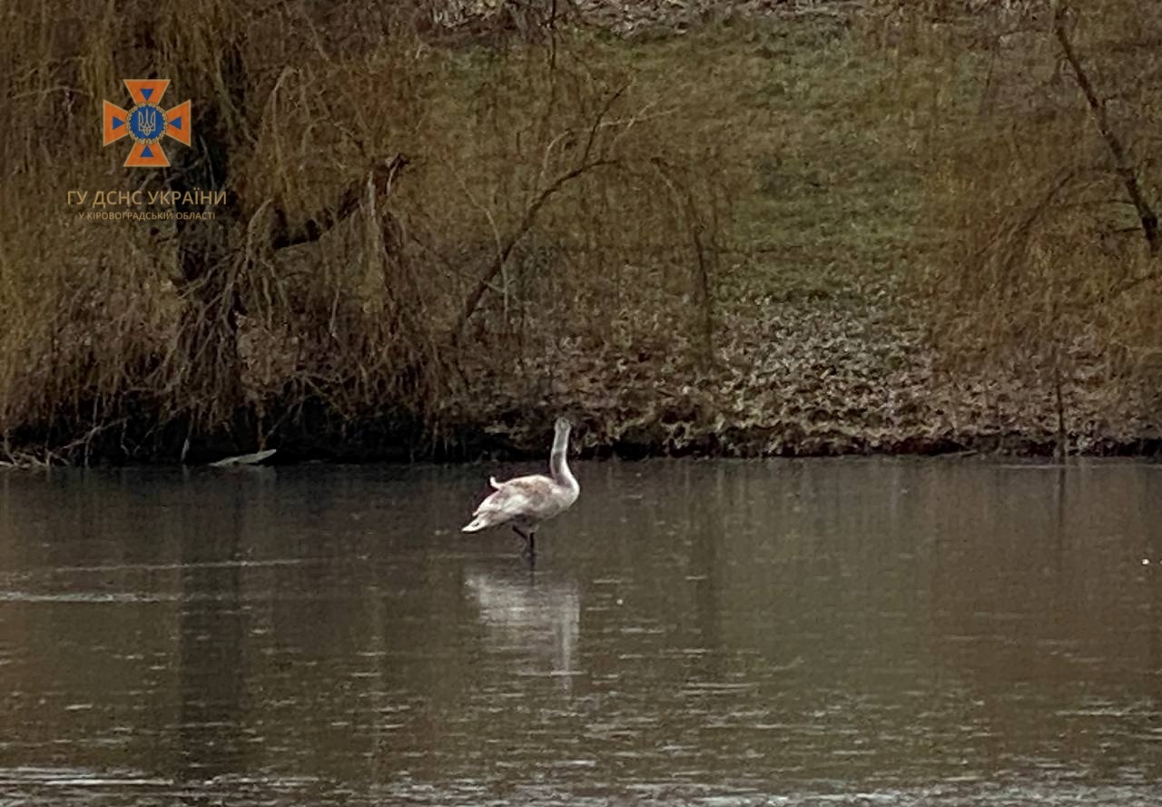 photo 2022 12 02 15 35 16