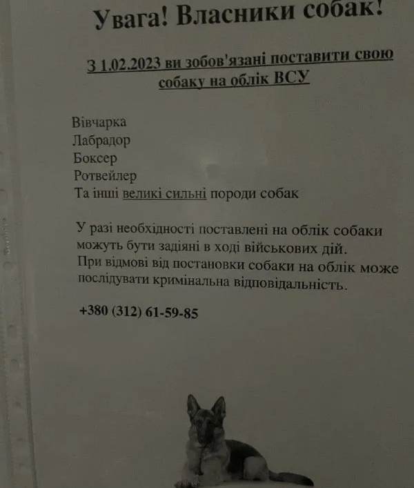 324993171 637430558139987 1542489563974666993 n copy