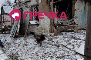 Dorosh tvarunu Donetzk