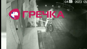 qtt