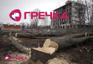 dereva Yanovskogo3