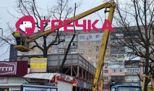 obrizka dub1