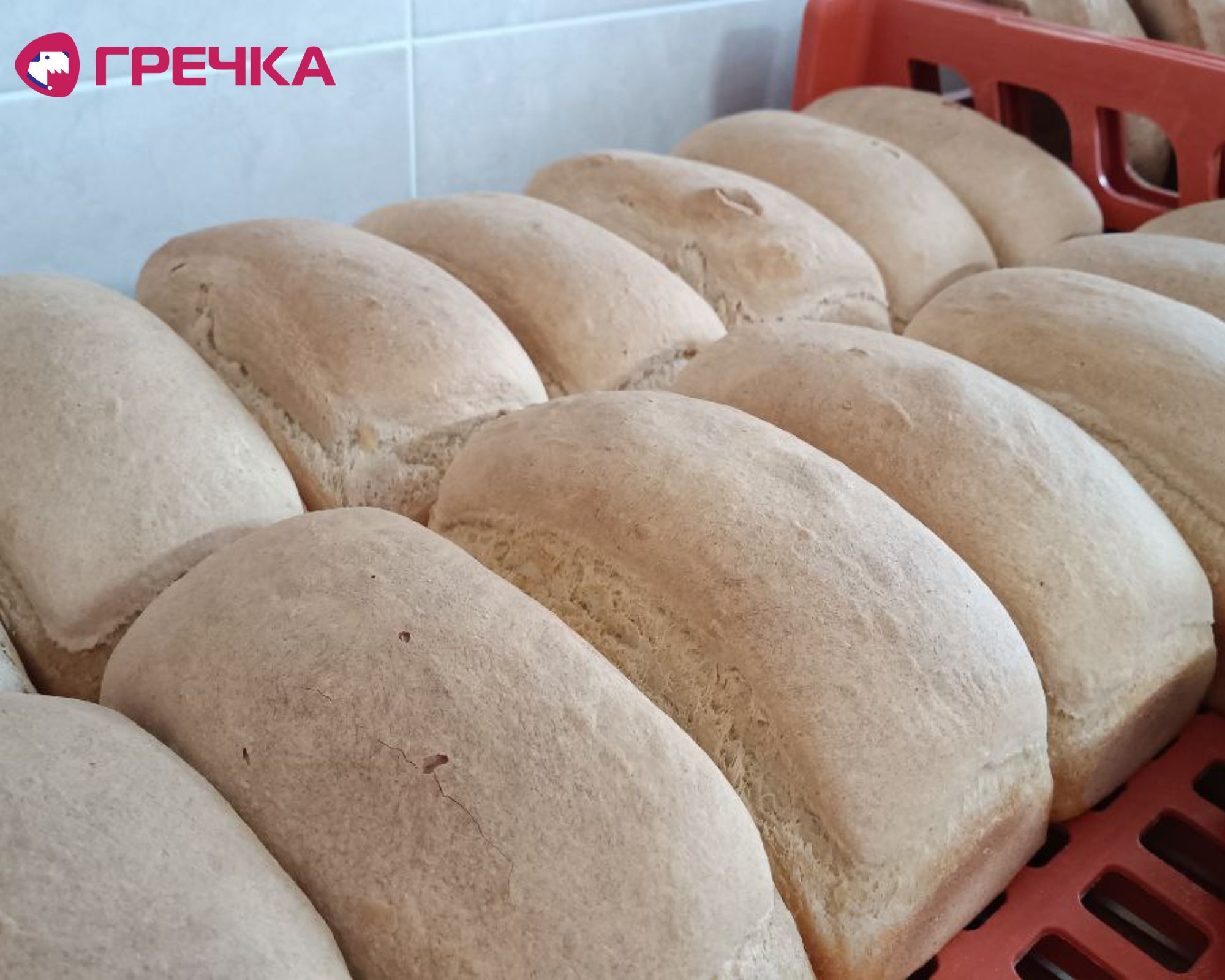 pekarnja17