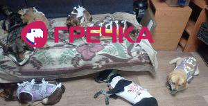 photo 2023 03 20 12 54 11