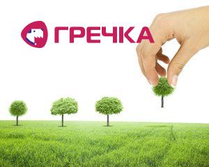 vysadka derev copy
