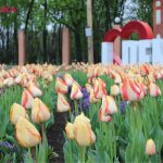 Для маркування Прямокутник 32 copy copy