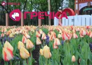 Для маркування Прямокутник 32 copy copy