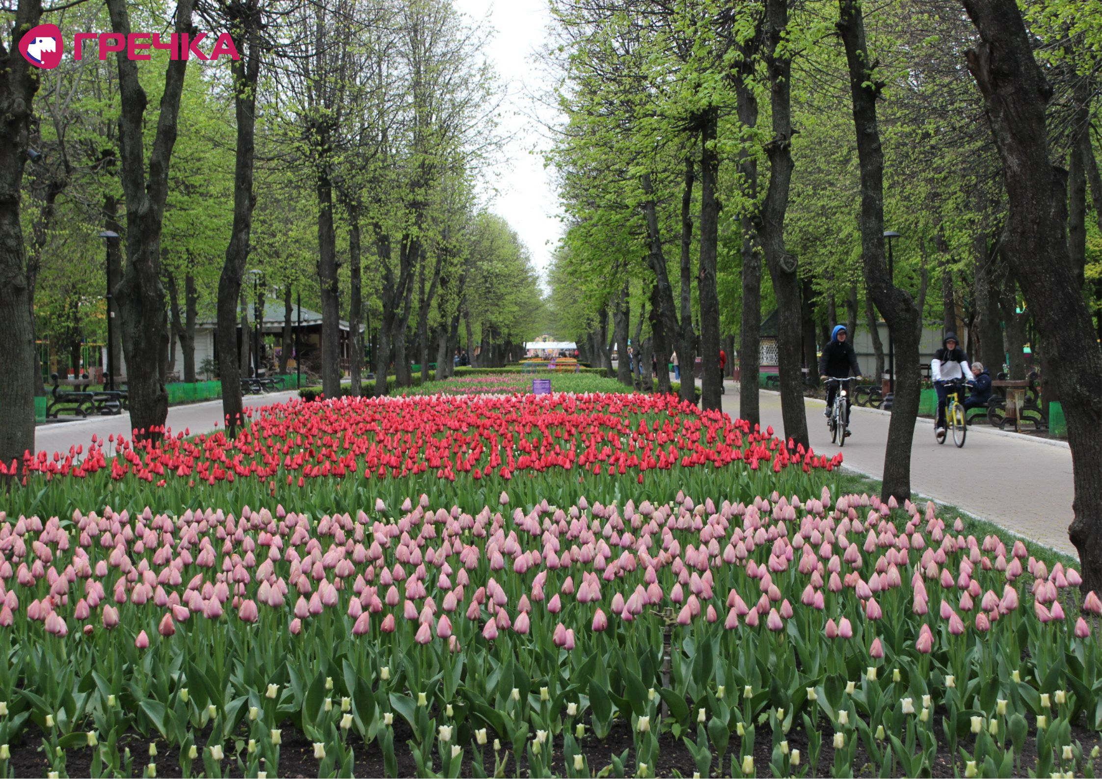 Для маркування Прямокутник 33 copy copy copy