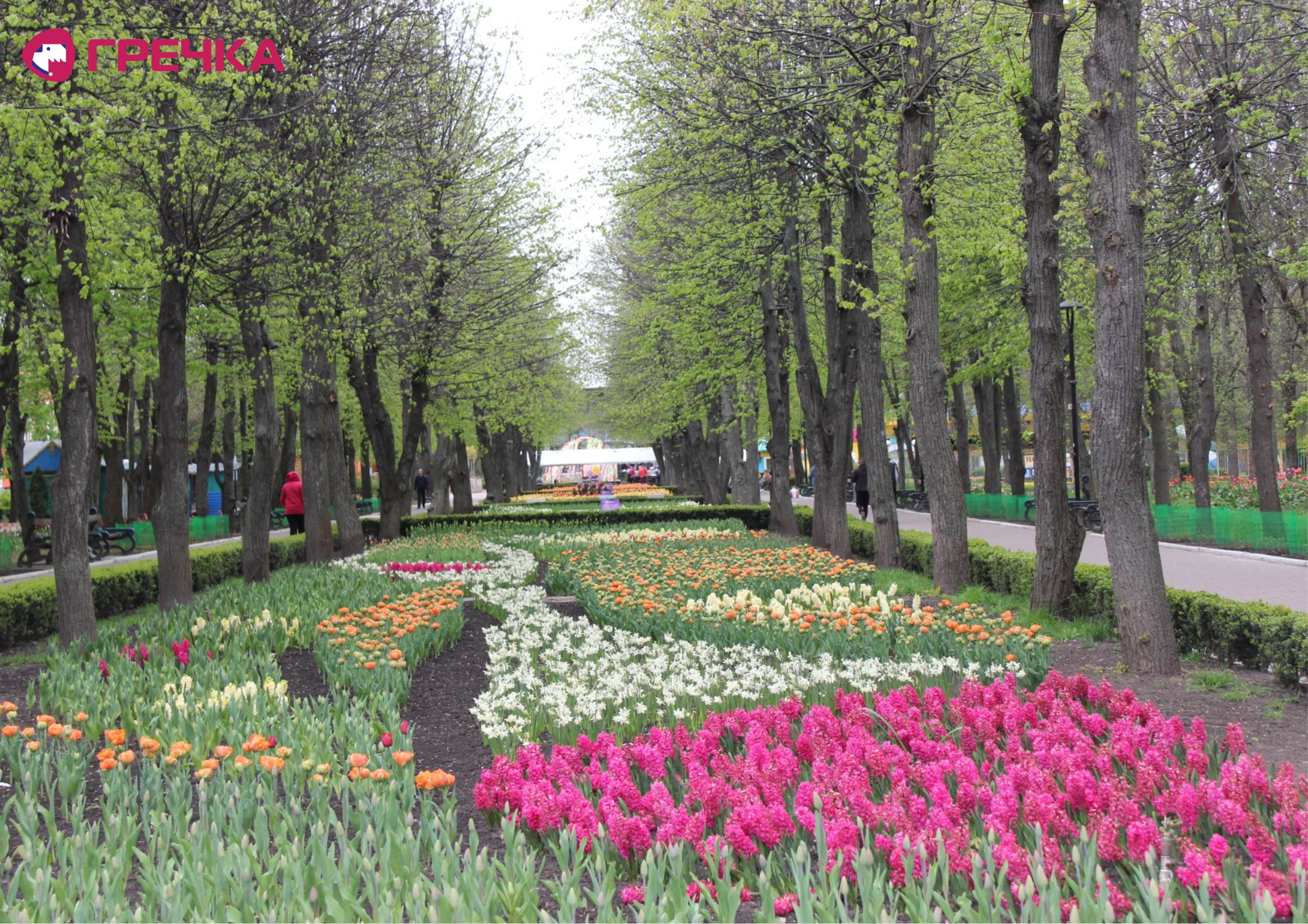 Для маркування Прямокутник 35 copy copy