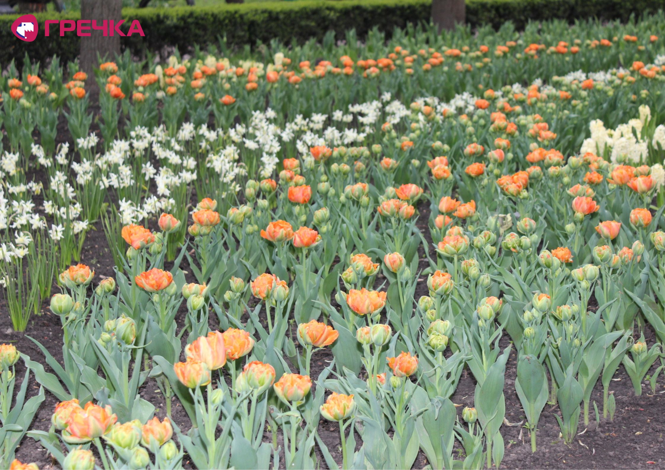 Для маркування Прямокутник 45 copy copy copy copy copy