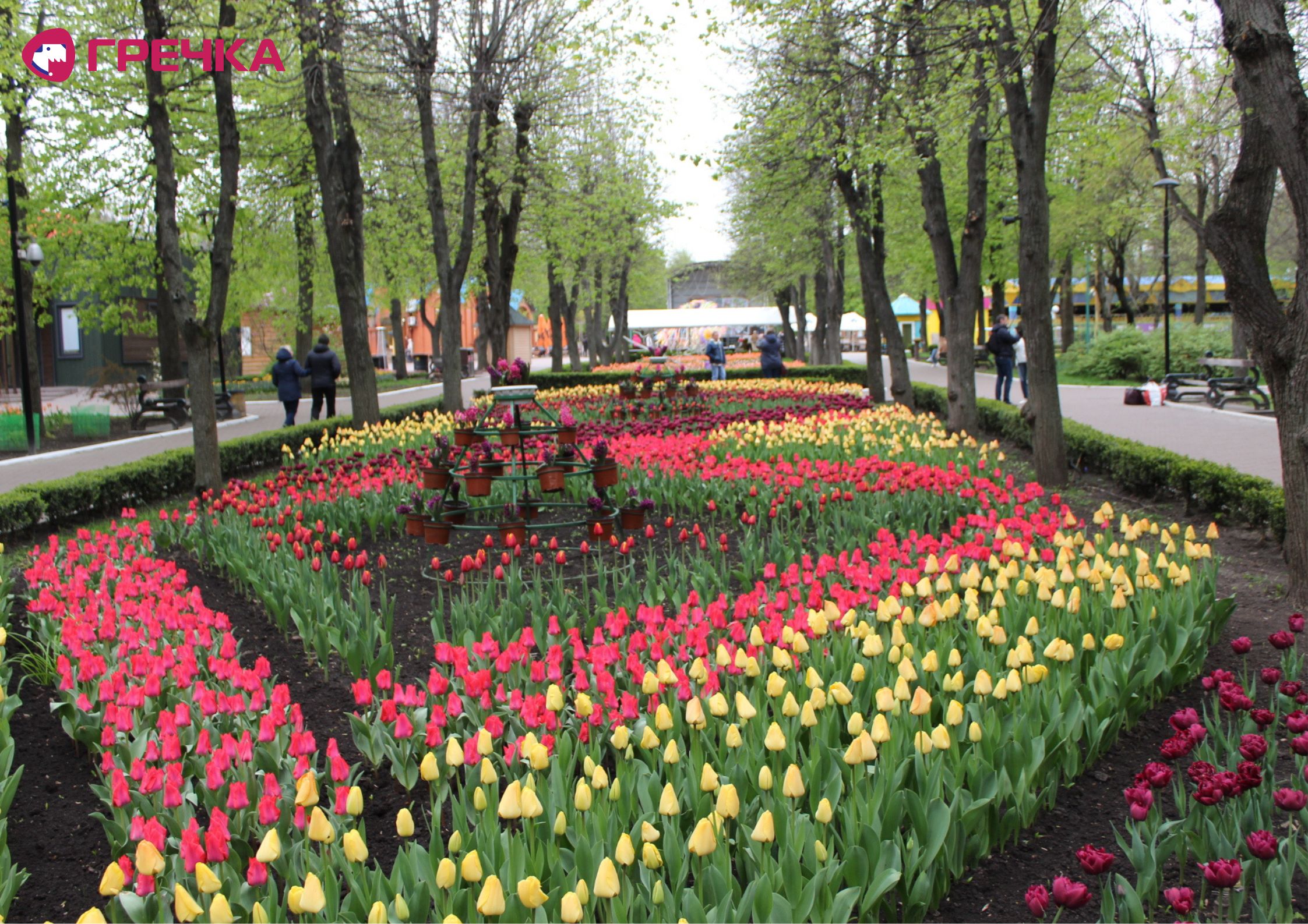 Для маркування Прямокутник 46 copy copy copy copy