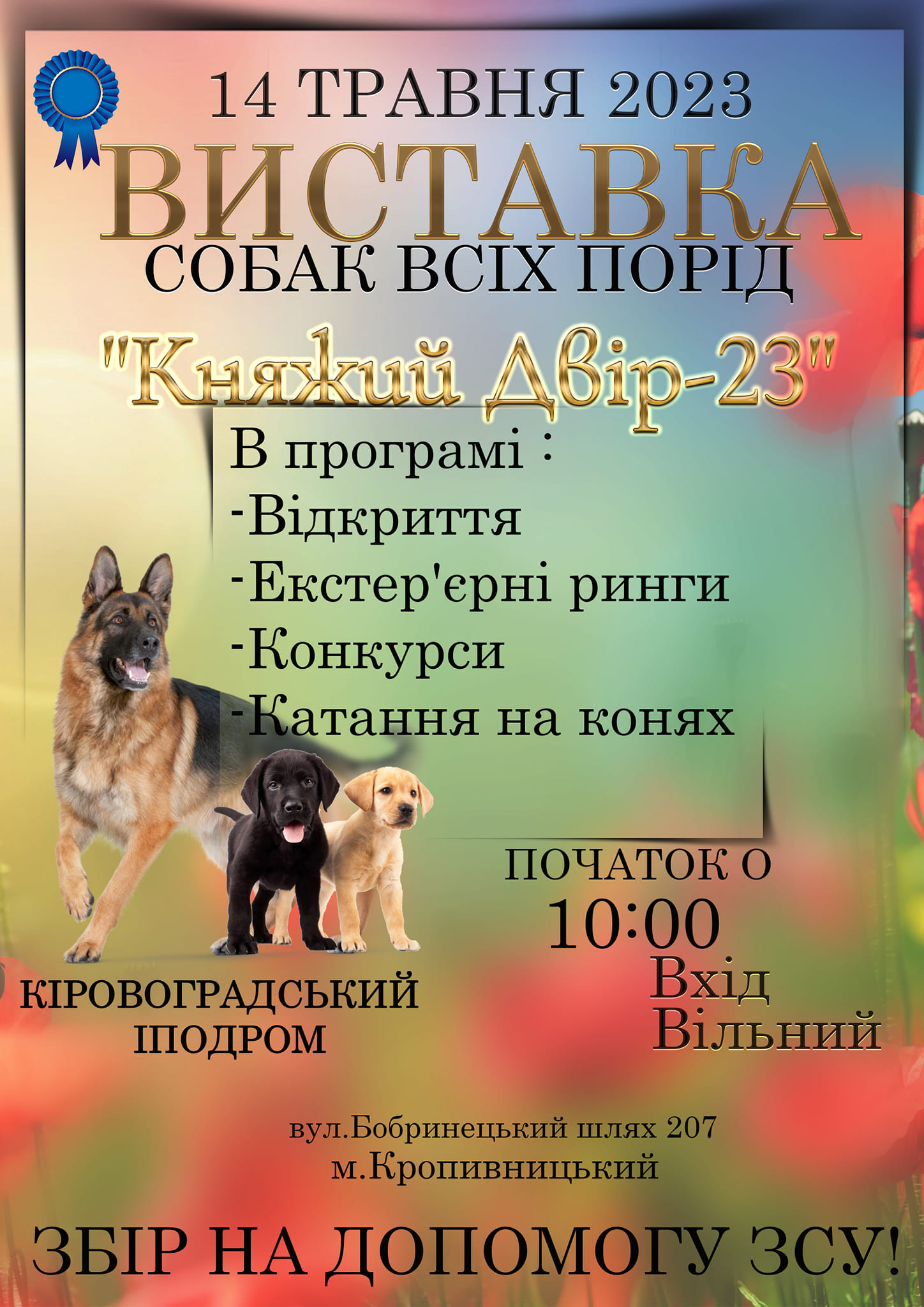 345167213 1234411507190717 3138049314254262987 n