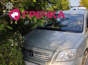 DTP parkan drager2
