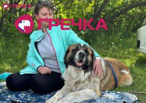 vustavka sobak7