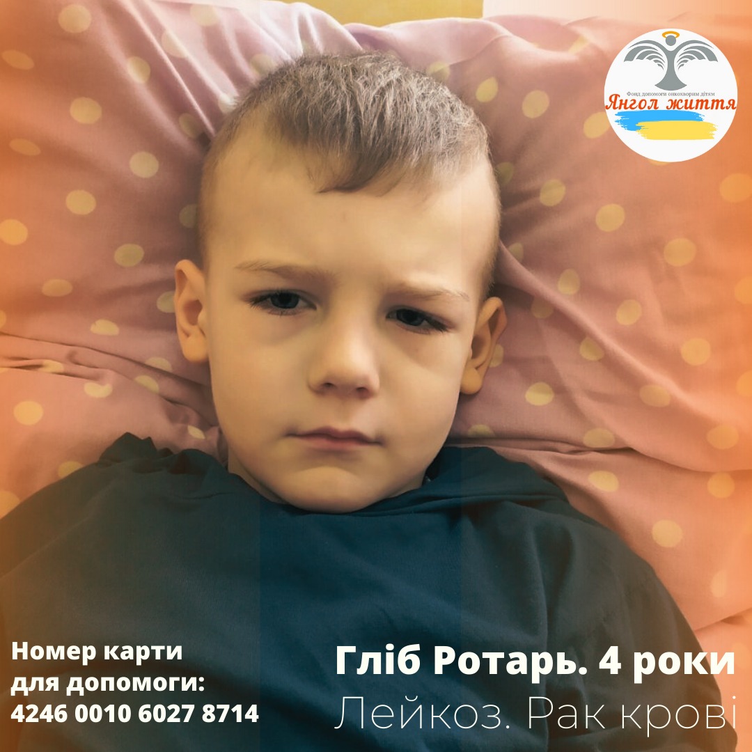 353037685 232596649511439 8220832531954542285 n