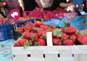 Копія Для маркування Прямокутник 10