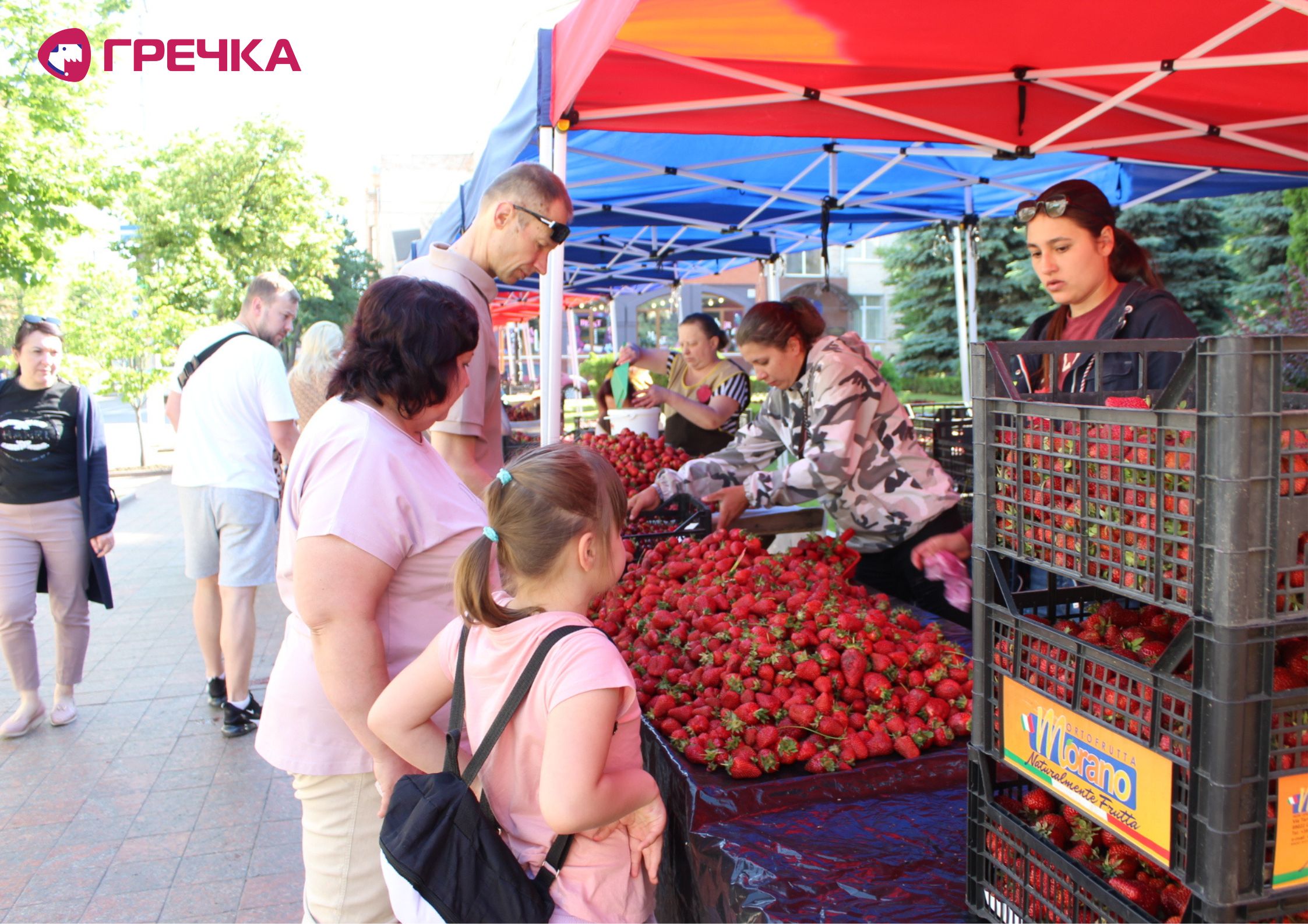 Копія Для маркування Прямокутник 17 copy copy copy copy
