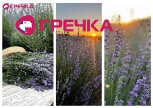 Копія Для маркування Прямокутник copy copy copy copy copy copy copy copy copy copy copy copy copy