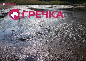Копія Для маркування Прямокутник 2 copy copy copy copy copy copy copy copy copy copy copy copy copy copy copy copy copy copy copy copy copy copy copy