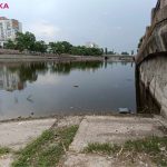 Ingul1