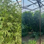 Копія Для маркування Прямокутник 89