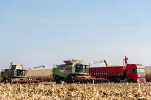 agro23